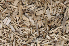 biomass boilers Riof